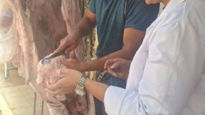 طب بيطري الإسماعيلية تفاجئ نقاط الذبح في أول أيام عيد الأضحى ..صور