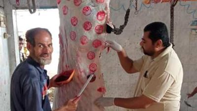 إعدام ١٨٤ كيلو لحوم فاسدة في حملة على محلات الجزارة بالإسماعيلية ..صور
