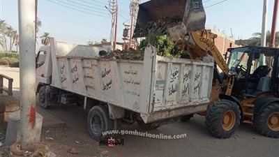 محافظ أسيوط يوجه باستمرار وتكثيف حملات النظافة ورفع المخلفات خلال أيام عيد الأضحى