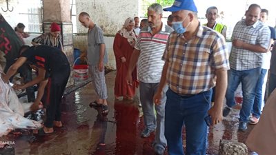 ذبح 40 عجل أضاحى من الأورمان ومصر الخير وتوزيعها على المستحقين بالمنوفية