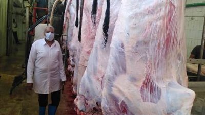 الزراعة: المجازر تستقبل ٢٠ الف اضحية خلال ايام العيد الثلاثة