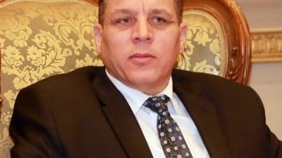 برلماني: ثورة ٢٣ يوليو انتصار وطني للاستقلال والسيادة واعلان الجمهورية