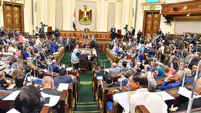 النواب يوافق على تشكيل جهاز حماية وتنمية البحيرات والثروة السمكية