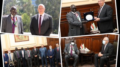 وزير الزراعة يبحث مع وزير الثروة الحيوانية والسمكية بجنوب السودان التعاون في مجال البحث العلمي
