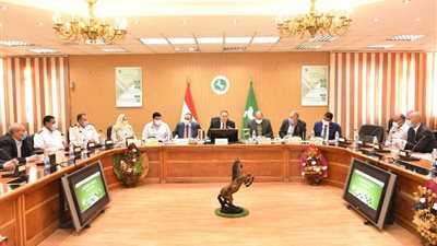 التنسيق بين الجهات التنفيذية لإنهاء المشروعات الخدمية