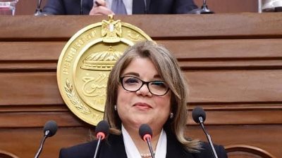 وكيل مجلس الشيوخ تشيد بدور النواب في مناقشة قضايا الوطن