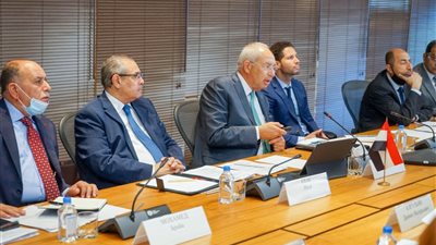 اقتصادية القناة تعلن نجاح الاتفاق على توسعة نطاق عمل المنطقة الروسية بالسخنة وشرق بورسعيد