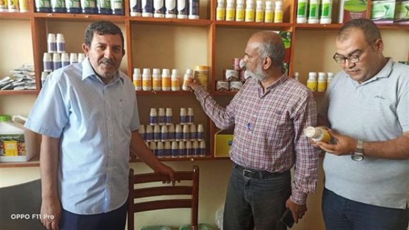 بوابة الجمهورية
