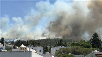 الاتحاد الأوروبي يرسل 3 طائرات للمساعدة في إخماد حرائق غابات تركيا