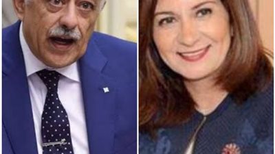 طارق شوقي : 