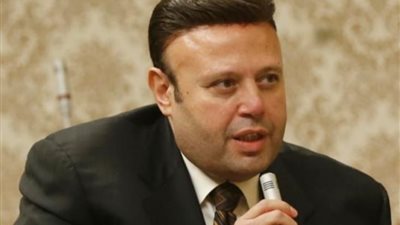 برلماني: الاقتصاد المصري قادر على استيعاب المشاريع العملاقة والمبادرات الغير مسبوقة