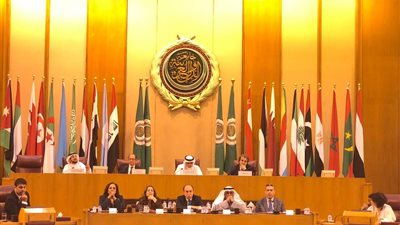 رئيس الاعلام بالجامعة العربية: الانترنت يسمح بالتطوير ويفتح مجالات للفوضى