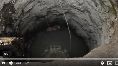 بالفيديو.. سقوط زوجين اثناء مشاجرتهما في بئر عميق