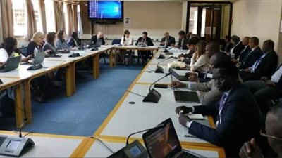 وزيرة البيئة تبحث مع شركاء التنمية تفعيل المبادرة المصرية لدمج الاتفاقيات الثلاث في نيروبي