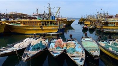 توقف حركة الصيد بكفر الشيخ