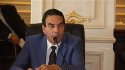 أبو العلا: توصيات السيسي فى منتدى الشباب بأسوان تؤكد عودة مصر بقوة للقارة السمراء