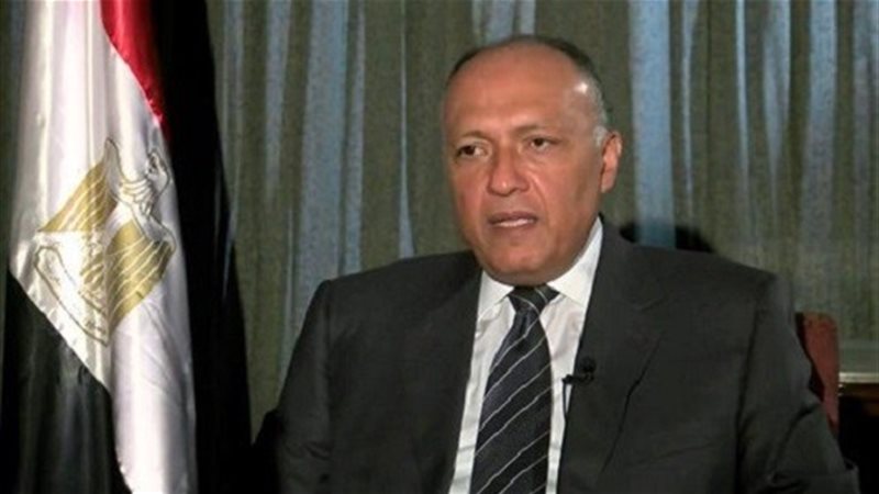 سامح شكري وزير الخارجية