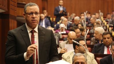 سعد سليم: التعديلات الدستورية جاءت وفق اللحظة الراهنة التي تعيشها مصر