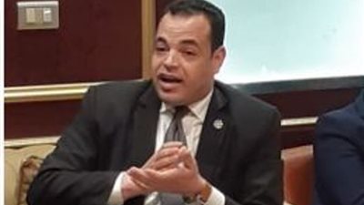 ايمن عدلي: لابد ان يكون لدينا منظمة مصرية تهتم بضبط القيم المجتمعية