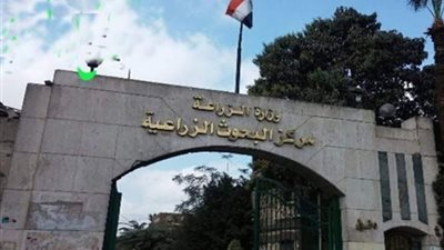التناسليات الحيوانية