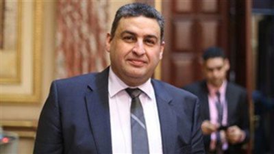 النائب محمد العقاد يحذر من الحضانات غير المرخصة: القاهرة الأولى على مستوى الجمهورية