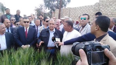 محافظ بني سويف ووزير الزراعة فى حقول القمح باهناسيا