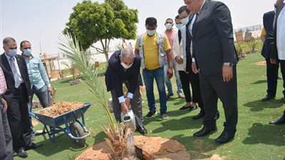 رئيس الأكاديمية العربية يزرع نخلة بحديقة 30 يونيو شمال الخارجة.. بالصور