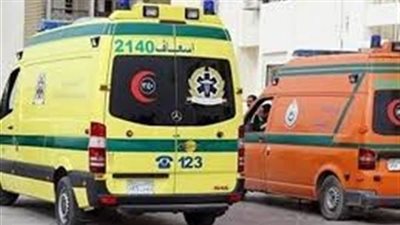 مصرع تاجر أسماك وإنقاذ نجله وابنته في انقلاب سيارة ملاكي بترعة البحر الصغير بالدقهلية