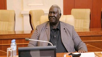السودان: بدء تنفيذ الترتيبات الأمنية بمنطقة أولو بإقليم النيل الأزرق