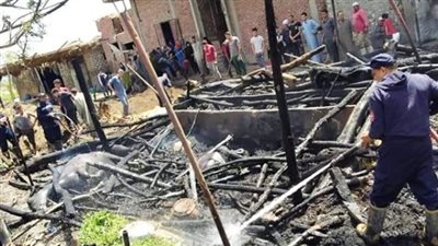 نفوق 3 رؤوس ماشية فى حريق بدشنا