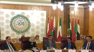 الباشا: نسعى لدخول النظام الأساسي للمحكمة العربية لحقوق الإنسان حيز النفاذ
