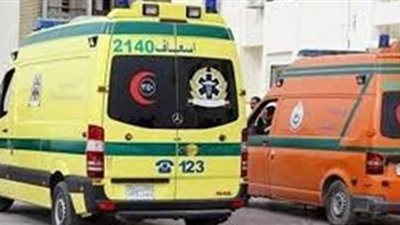 مصرع نجار غرقًا اثناء الصيد بترعة السلام بالدقهلية