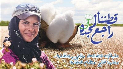 قطاع الأعمال: سعر القنطار يصعد إلى 3865 جنيها في ثاني مزاد للقطن