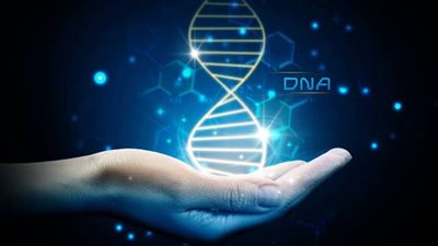 DNA يجمع أماً بإبنها بعد 33 عاما من الفراق