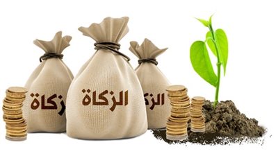 ما حكم ومقدار الزكاة عن المال المدخر بدون استثمار؟...دار الإفتاء تجيب