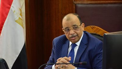 وزير التنمية المحلية: إستغلال الميزات التنافسية لمصر والكاميرون في انتاج الأخشاب وصناعة الأثاث