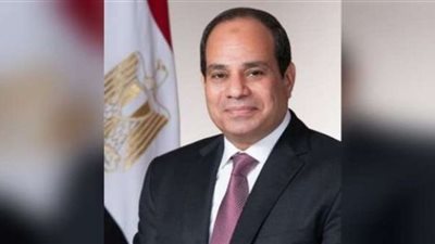 الرئيس السيسي يتلقى اتصالا هاتفيا من رئيس أوكرانيا