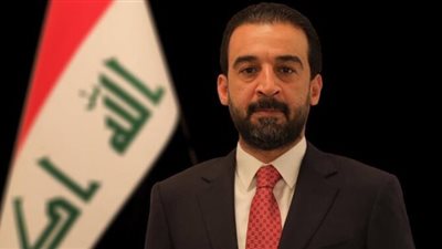 رئيس مجلس النواب العراقي: موقفنا ثابت من القضية الفلسطينية