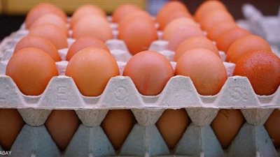سعر كرتونة البيض اليوم الأحد 26-9-2021 في مصر
