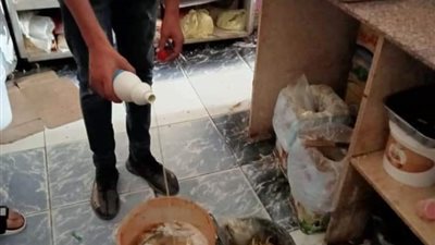 اعدام (٣٠٠) كيلو أغذية متنوعة غير صالحة للاستهلاك وضبط 2.500طن عسل اسود مجهول المصدر