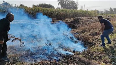 جهود كبيرة لوزارة البيئة للتصدي لظاهرة السحابة السوداء بمحافظات الدلتا-صور
