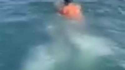 سيد باروكي يبدأ عبور قناة السويس لدخول جينيس من الإسماعيلية