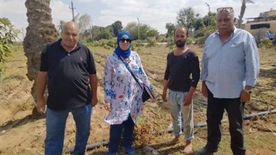 حملات ميدانية تتابع زيادة إنتاجية زراعات الفراولة في الإسماعيلية ..صور