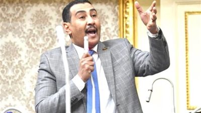 نائب: روح انتصارات أكتوبر سائدة في كافة المشاريع المصرية