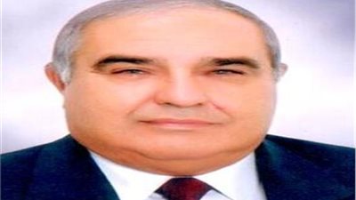 المحكمة الدستورية: مجلس الدولة هو المنوط بمنازعات نقابة الصيادلة