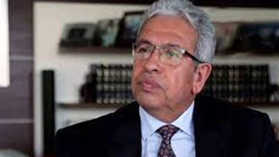 عبد المنعم سعيد: استكمال التجربة المصرية الحالية تحدي جديد للدولة