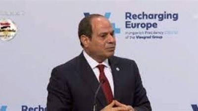 السيسي: من منظور حقوق الإنسان رفضنا المزايدة على استضافة اللاجئين