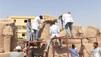 العنانى : تقوية 19 تمثالا من الكباش والإنتهاء من التطوير في غضون أيام