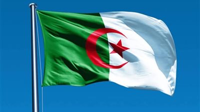 الجزائر.. الحكم على شقيق بوتفليقة بالسجن عامين بتهمة الفساد