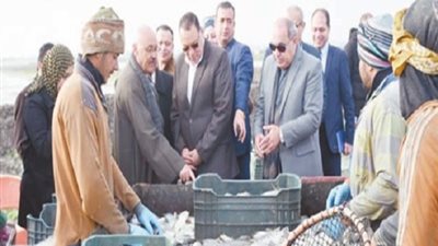 الشرقية.. ثالث الجمهورية في المزارع السمكية